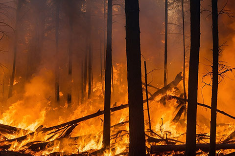 climate-change-wildfires
